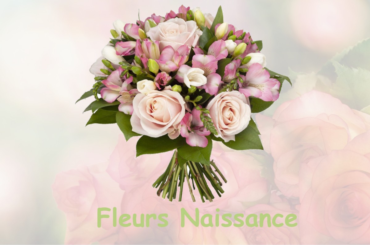 fleurs naissance SAINTE-MARIE-DE-GOSSE