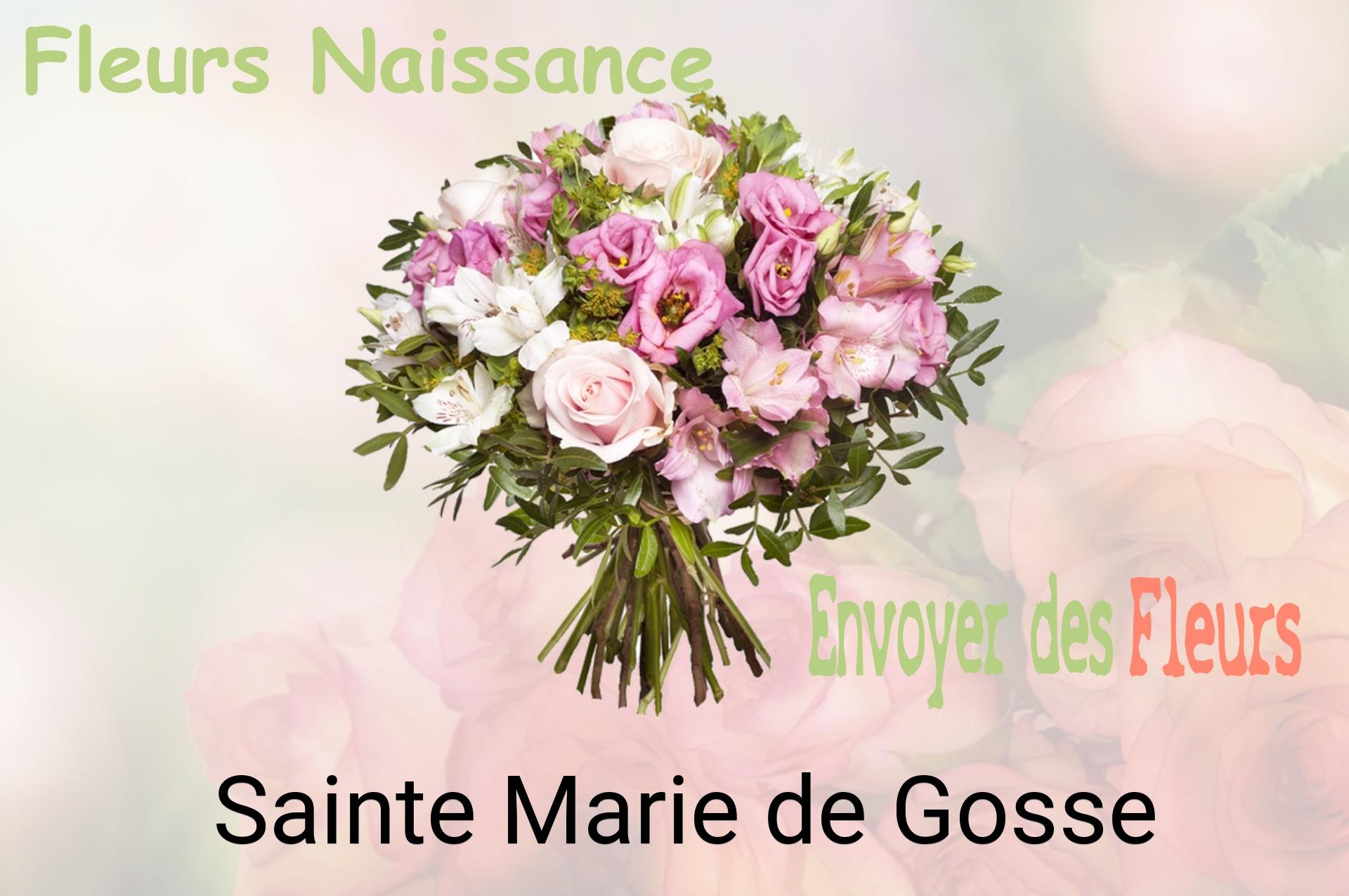 Bouquet de fleurs de naissance livré à Sainte-Marie-de-Gosse