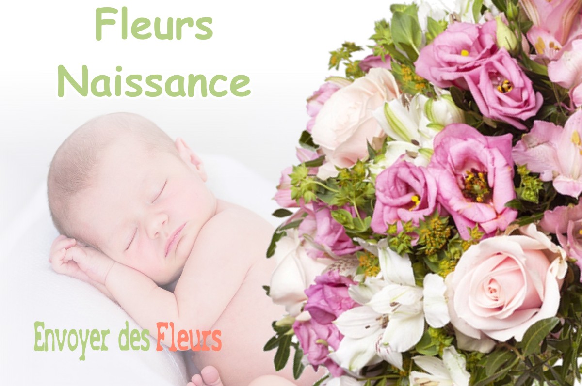 lIVRAISON FLEURS NAISSANCE à SAINTE-MARIE-DE-GOSSE